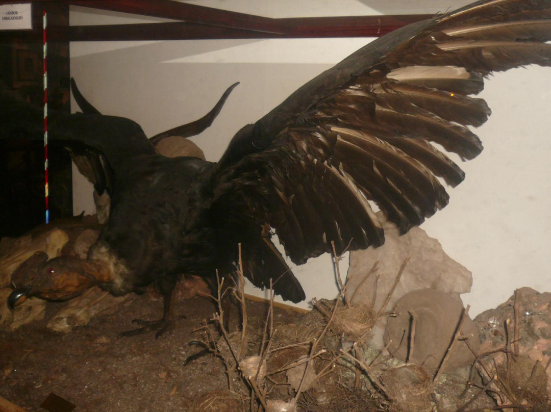 Rocsen Museum-Province of Cordoba必去景点