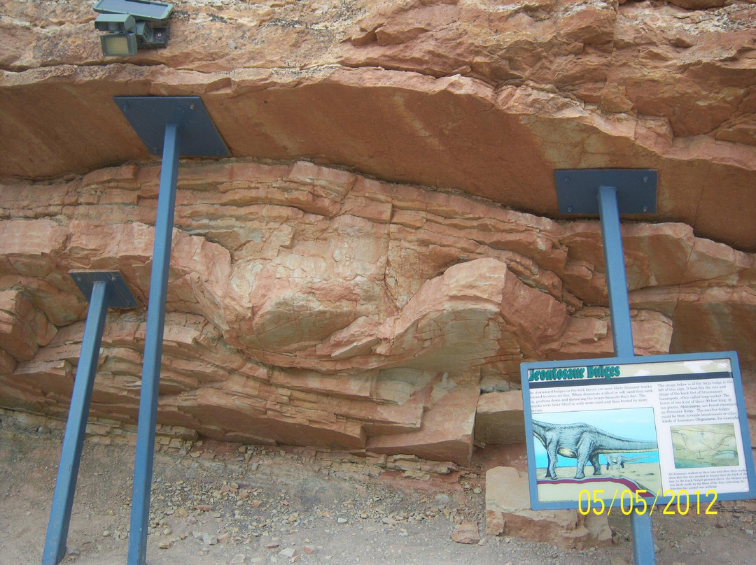 Dinosaur Ridge-Morrison必去景点