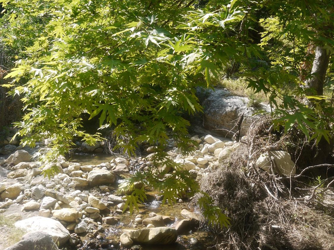 Avakas Gorge-帕福斯必去景点