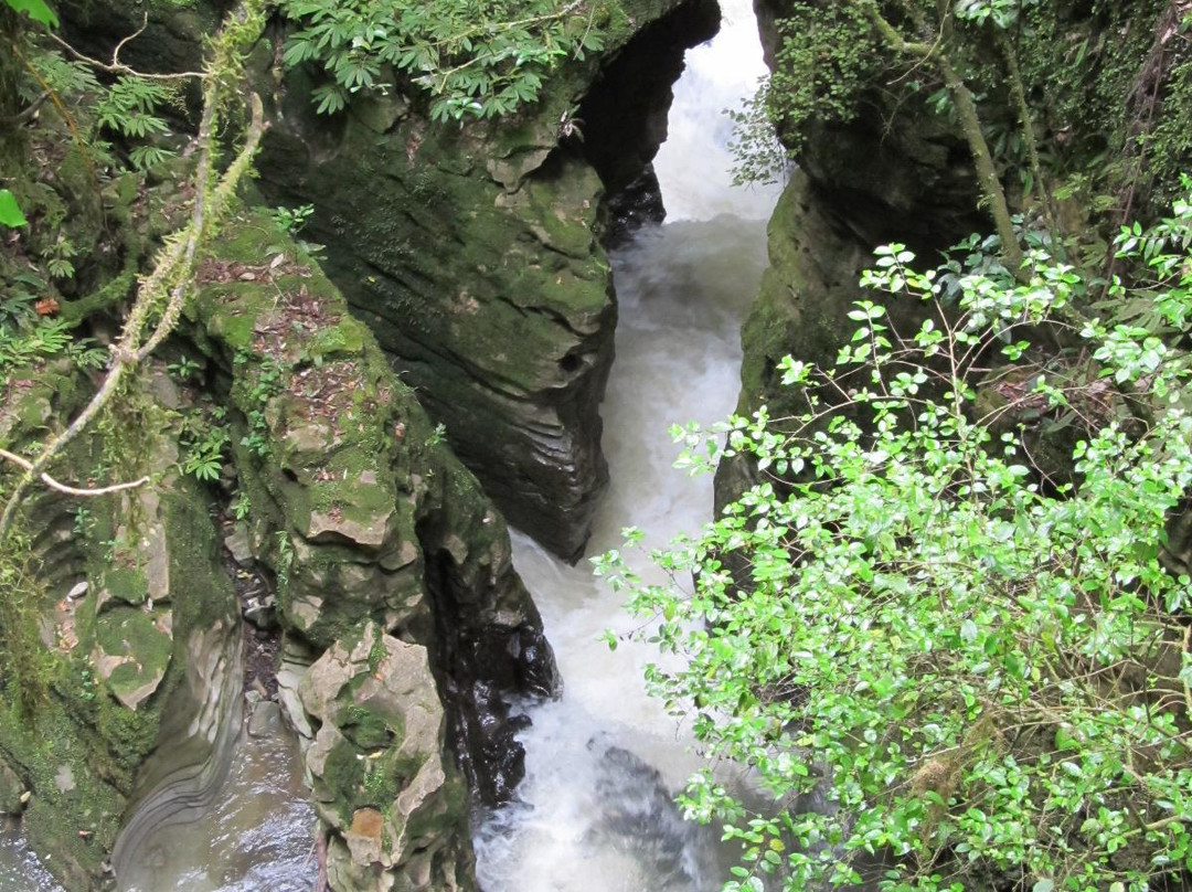 Ruakuri Walk-怀托摩洞穴必去景点