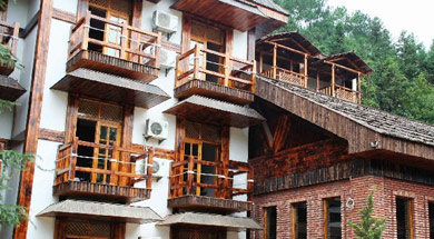 格林国际大酒店-客卧