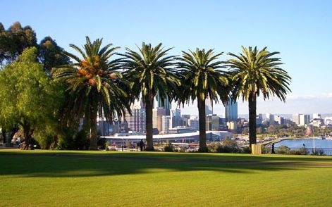 Kings Park Motel主图