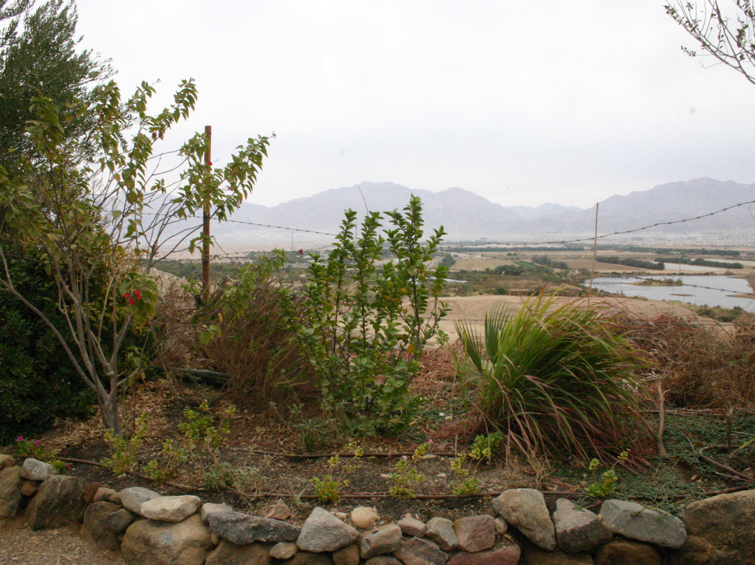 The Botanical Garden Of Eilat-埃拉特必去景点