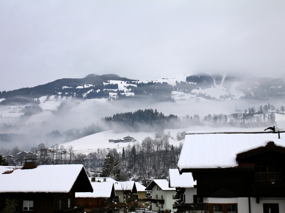 Appartements Strobl主图