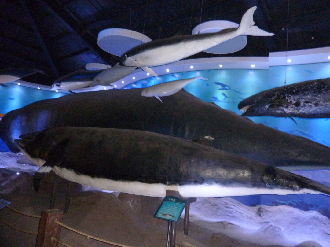 青岛海底世界-青岛市必去景点