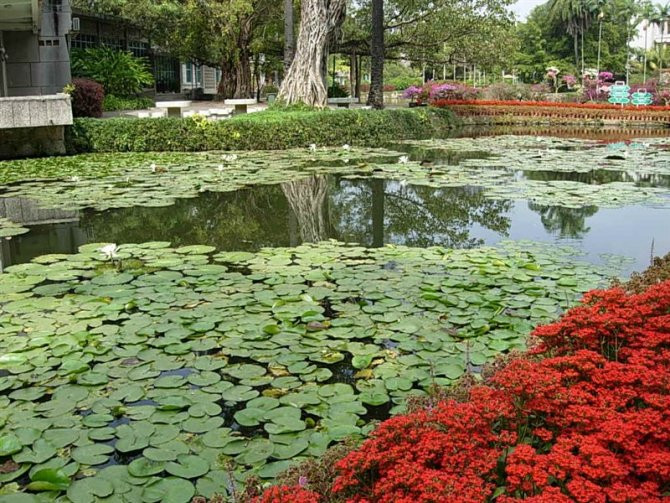 泼水节观礼台景点图片