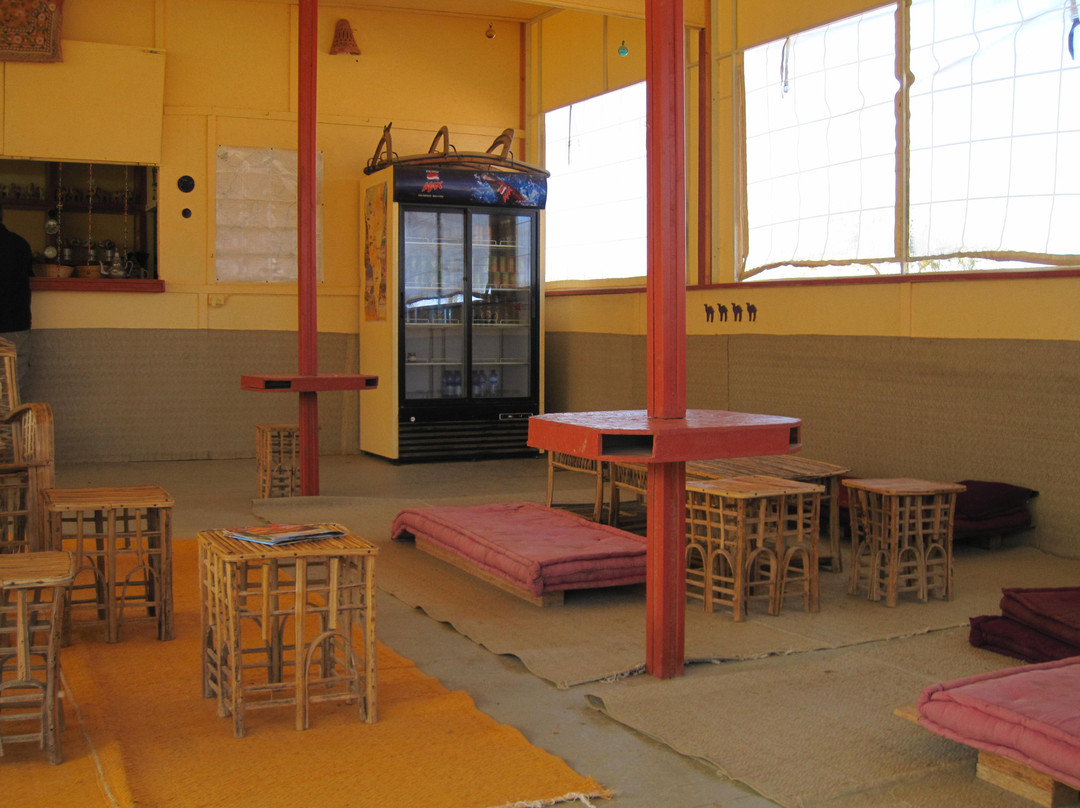 Negev Camel Ranch-Dimona必去景点