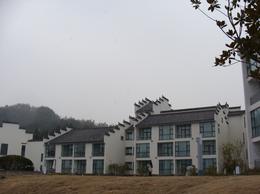 黄山奇墅仙境中坤国际大酒店主图