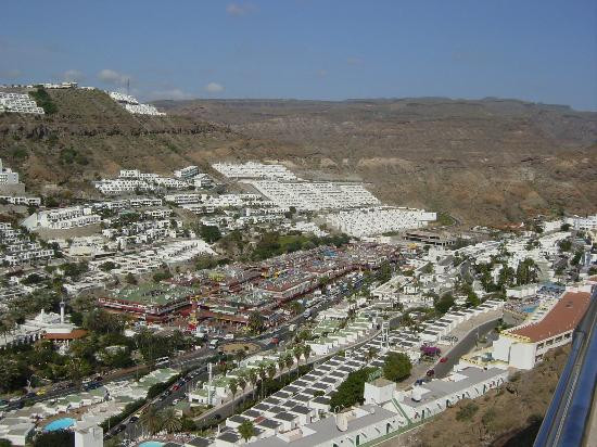 Jacaranda Apartments主图