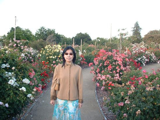 Heritage Rose Garden-圣何塞必去景点