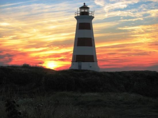 Brier Island Whale and Seabird Cruises-Westport必去景点