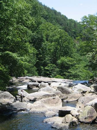 Horsepasture River and Nature Trails景点图片