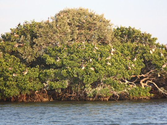 Good Time Charters-迈尔斯堡海滩必去景点