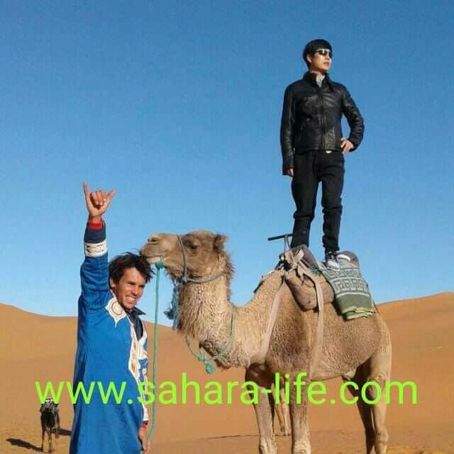 Sahara Life Private Day Tours-梅如卡必去景点