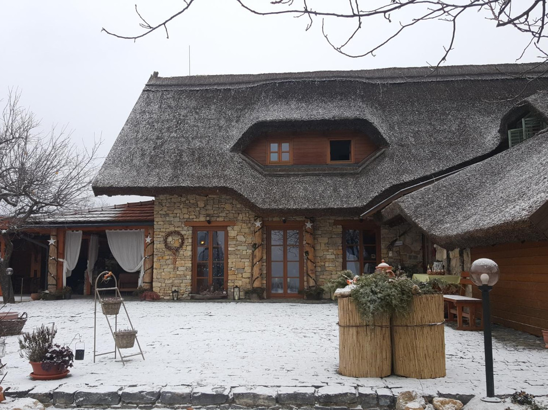 Szabó és Fia Inn