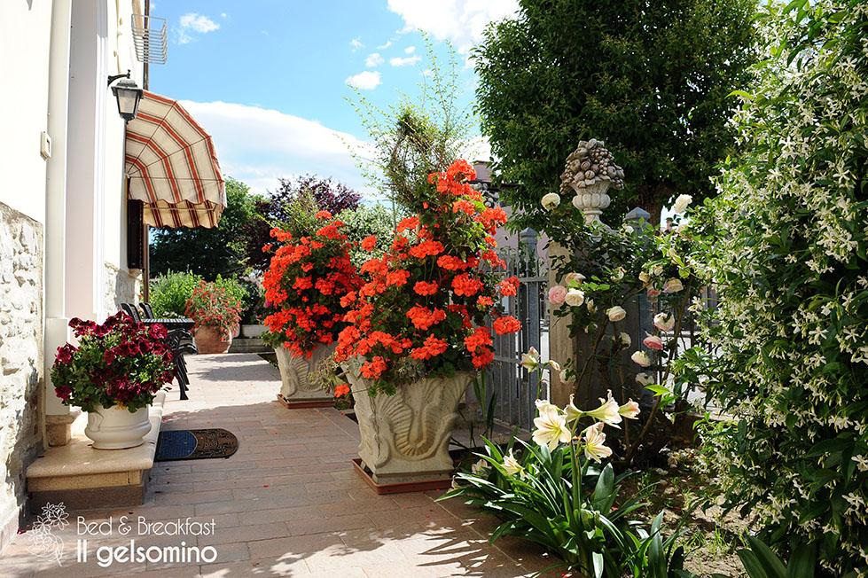B&B Il Gelsomino-官方