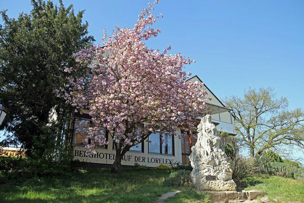 Berghotel