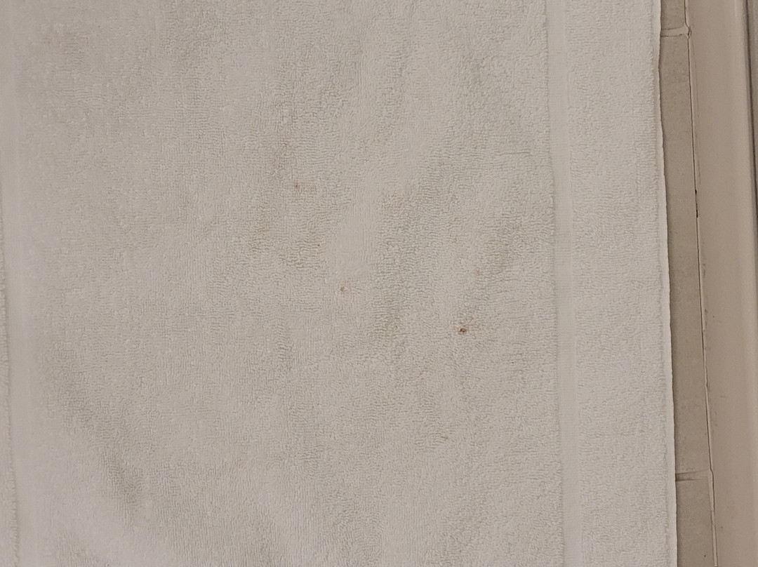 阿伦敦/利哈伊谷凯悦嘉寓酒店主图