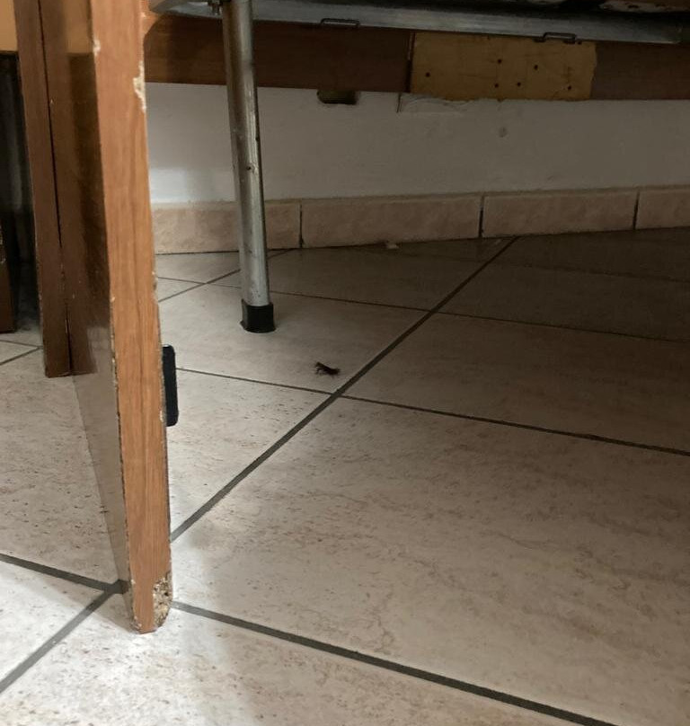 Cannone D'oro Albergo主图