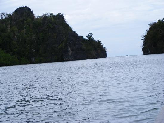 Natasha's Mangrove Nature Tour-兰卡威必去景点