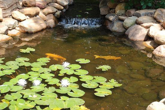 国家牛仔与西部文化博物馆-俄克拉何马城必去景点