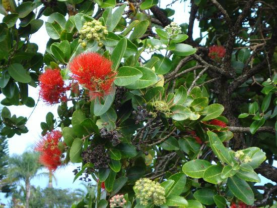 Garden of Eden Arboretum & Botanical Garden景点图片