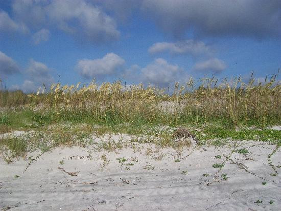 Little Talbot Island State Park-杰克逊维尔必去景点