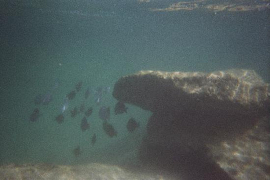 Your Private Tour-阿范特拉斯港必去景点