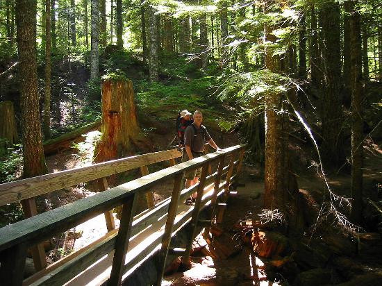 Mount Hood National Forest-克拉克默斯县必去景点
