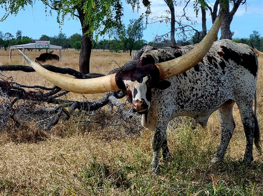 Leahton Park-查特斯堡必去景点