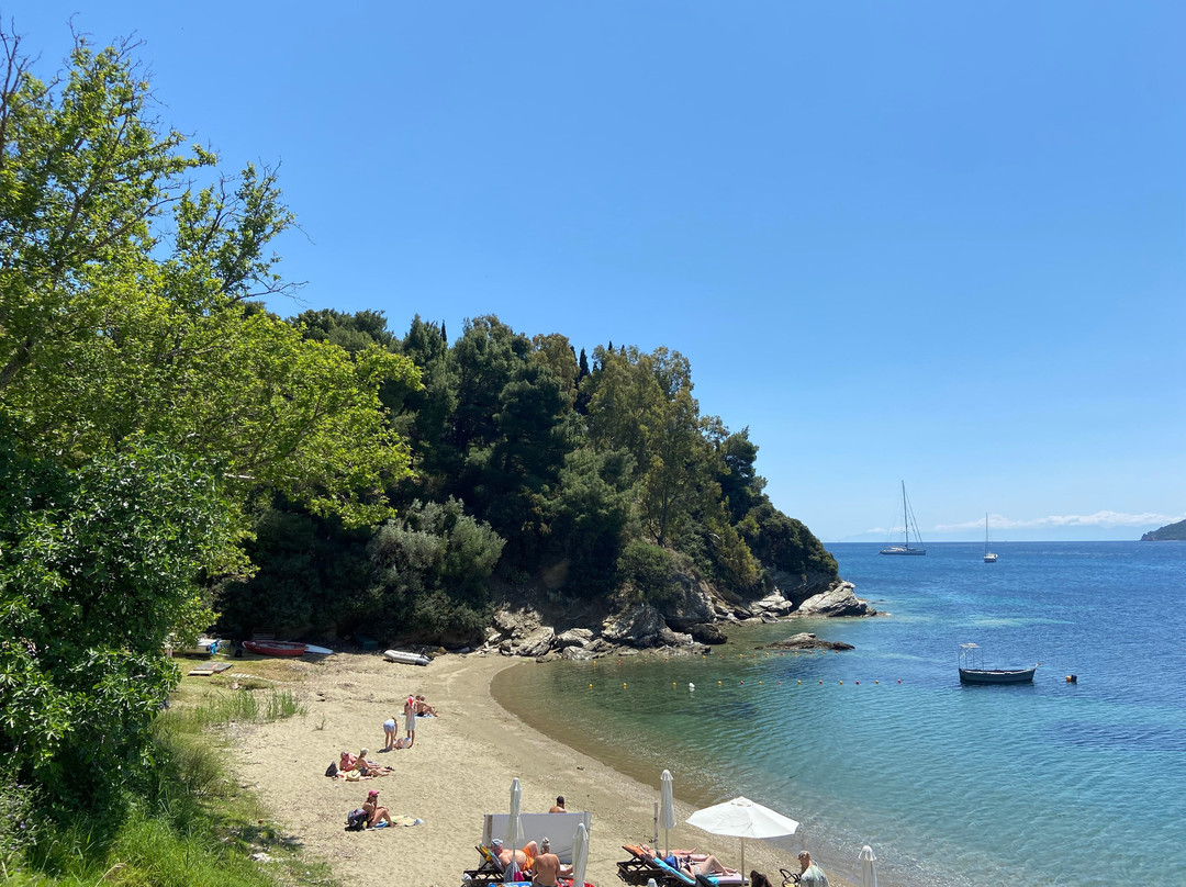 Thalassa Cape Philian Collection主图