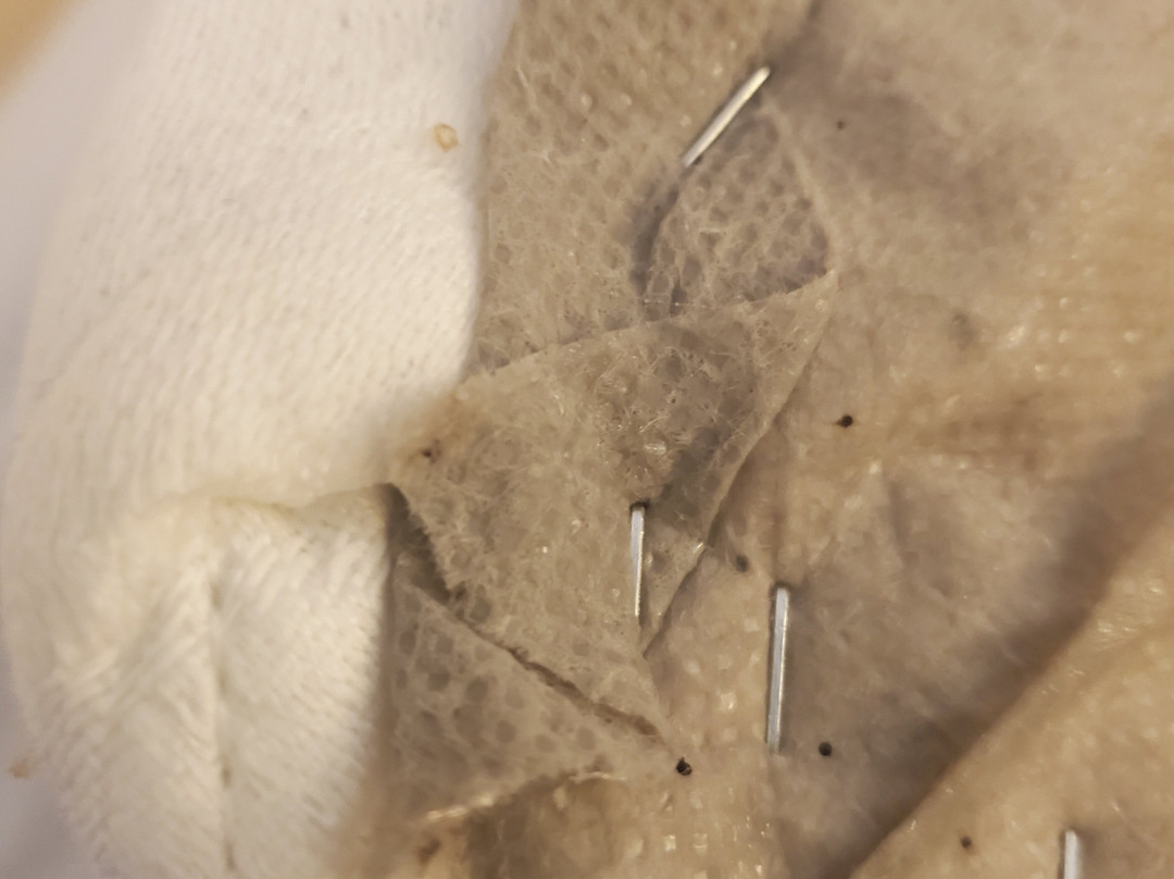 Fairfield by Marriott Inn & Suites Huntington主图