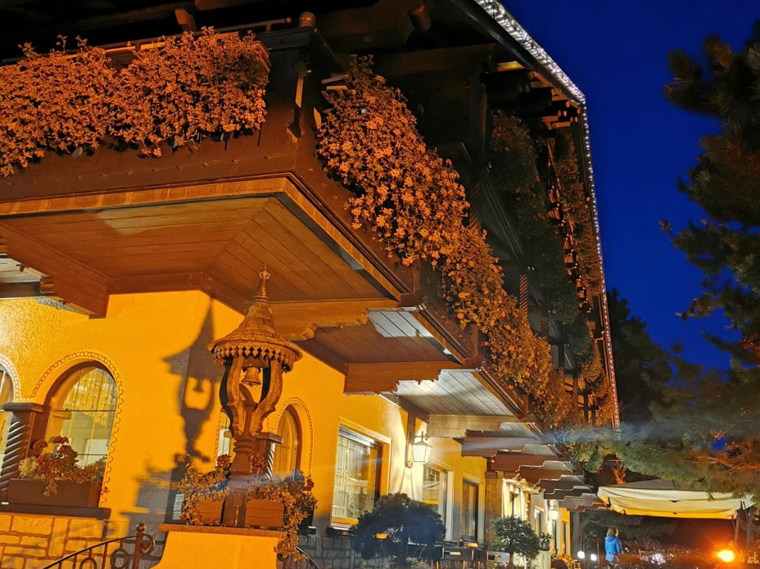 Hotel Villa Wilma主图