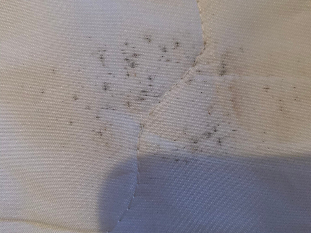 Vista Coiba Villas & Restaurant主图