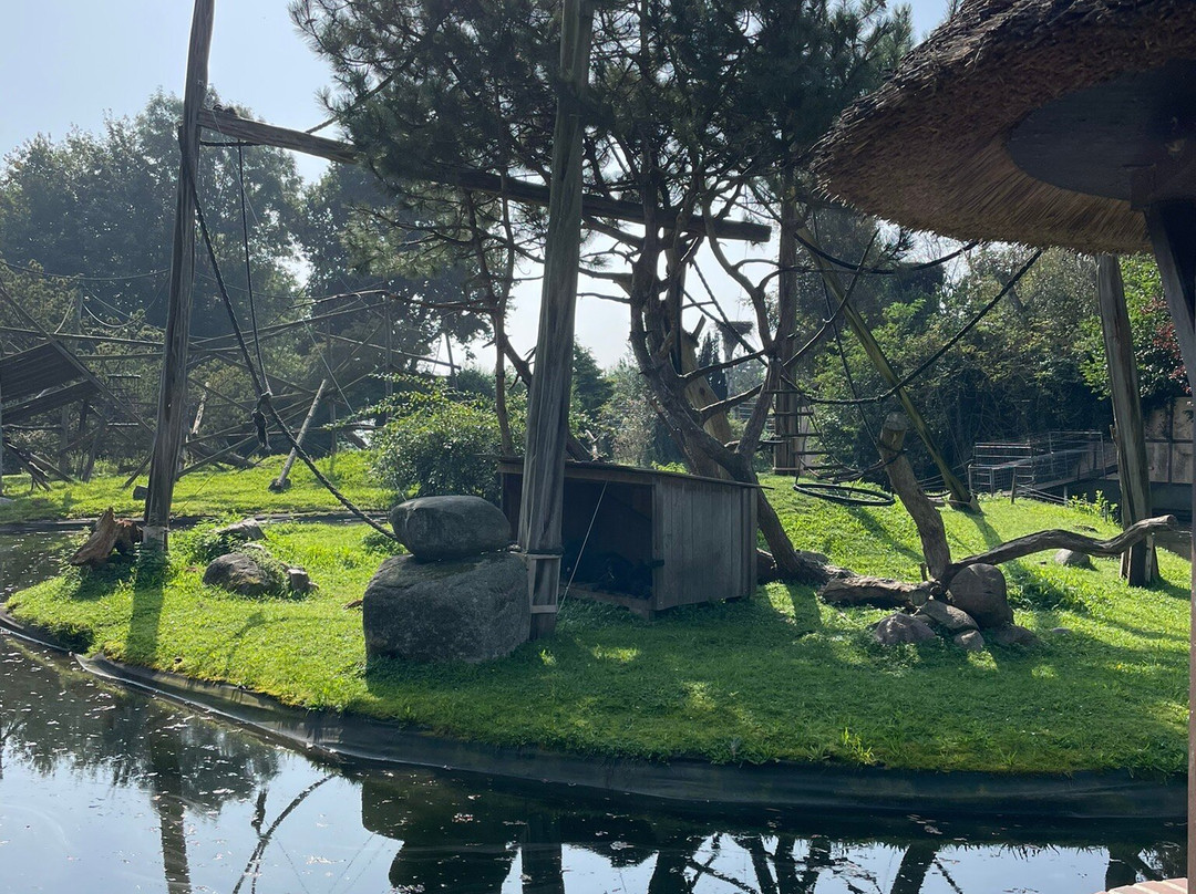 Jaderpark景点图片