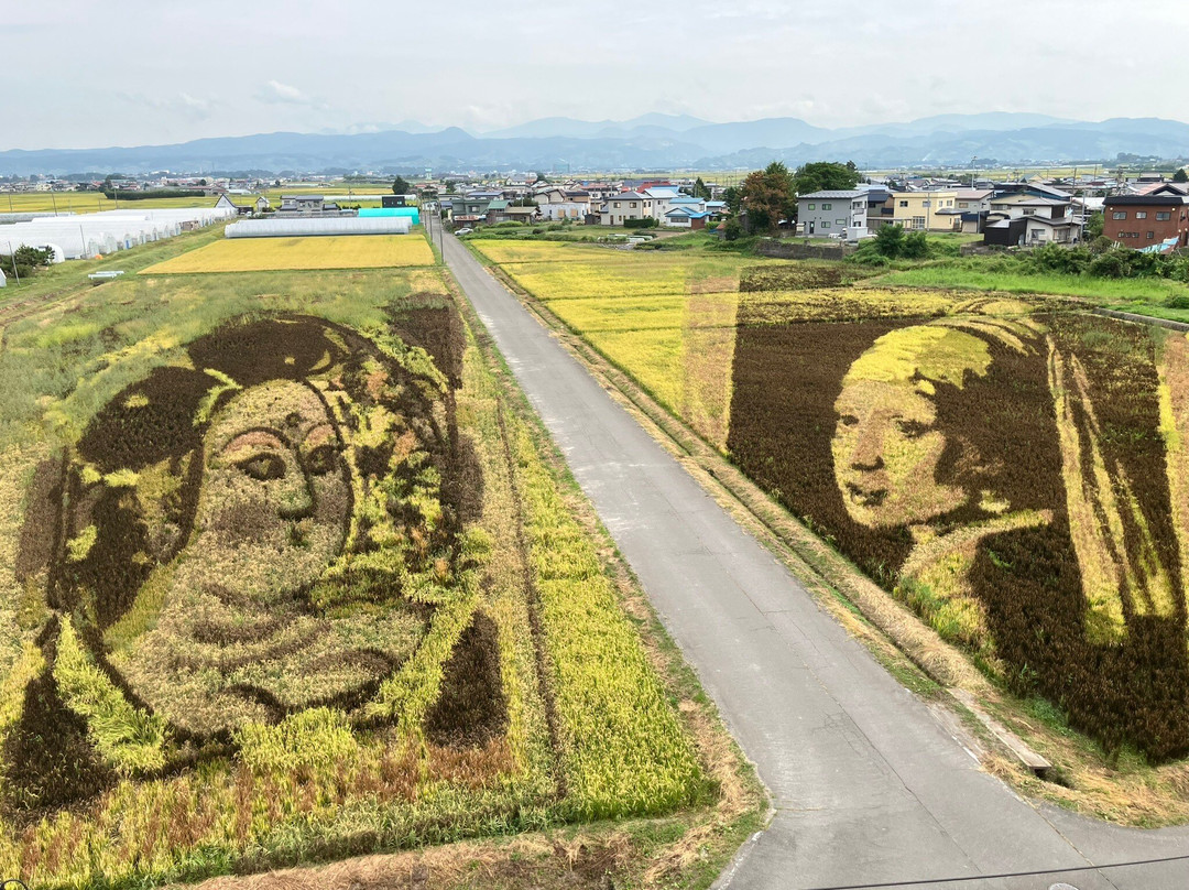 Inakadate Mura Tanbo Art景点图片