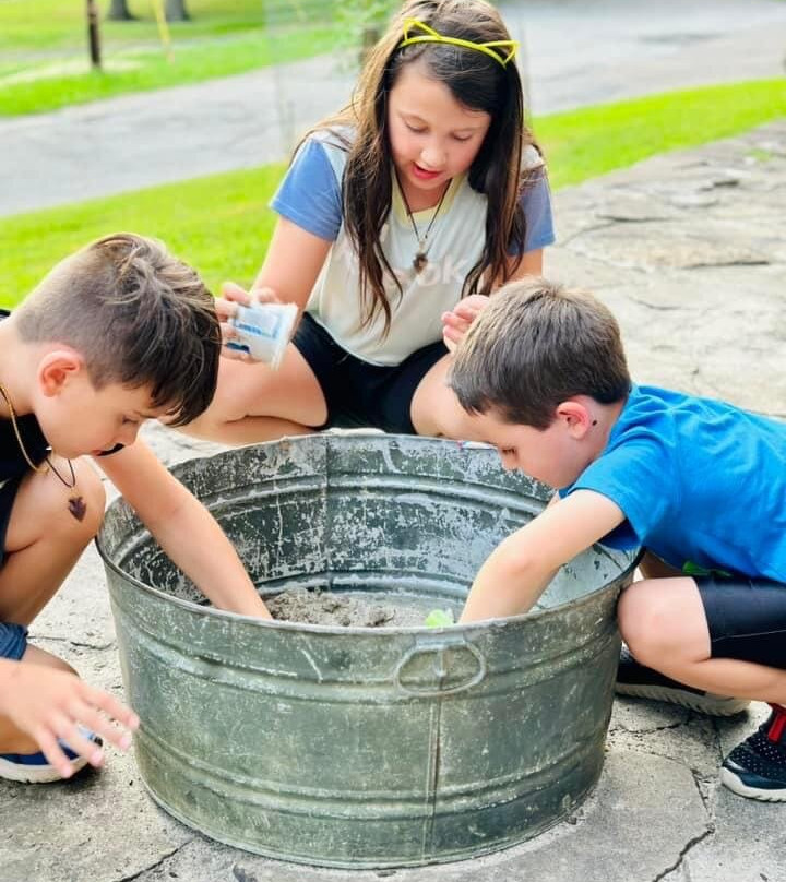 Washington Park-华盛顿必去景点