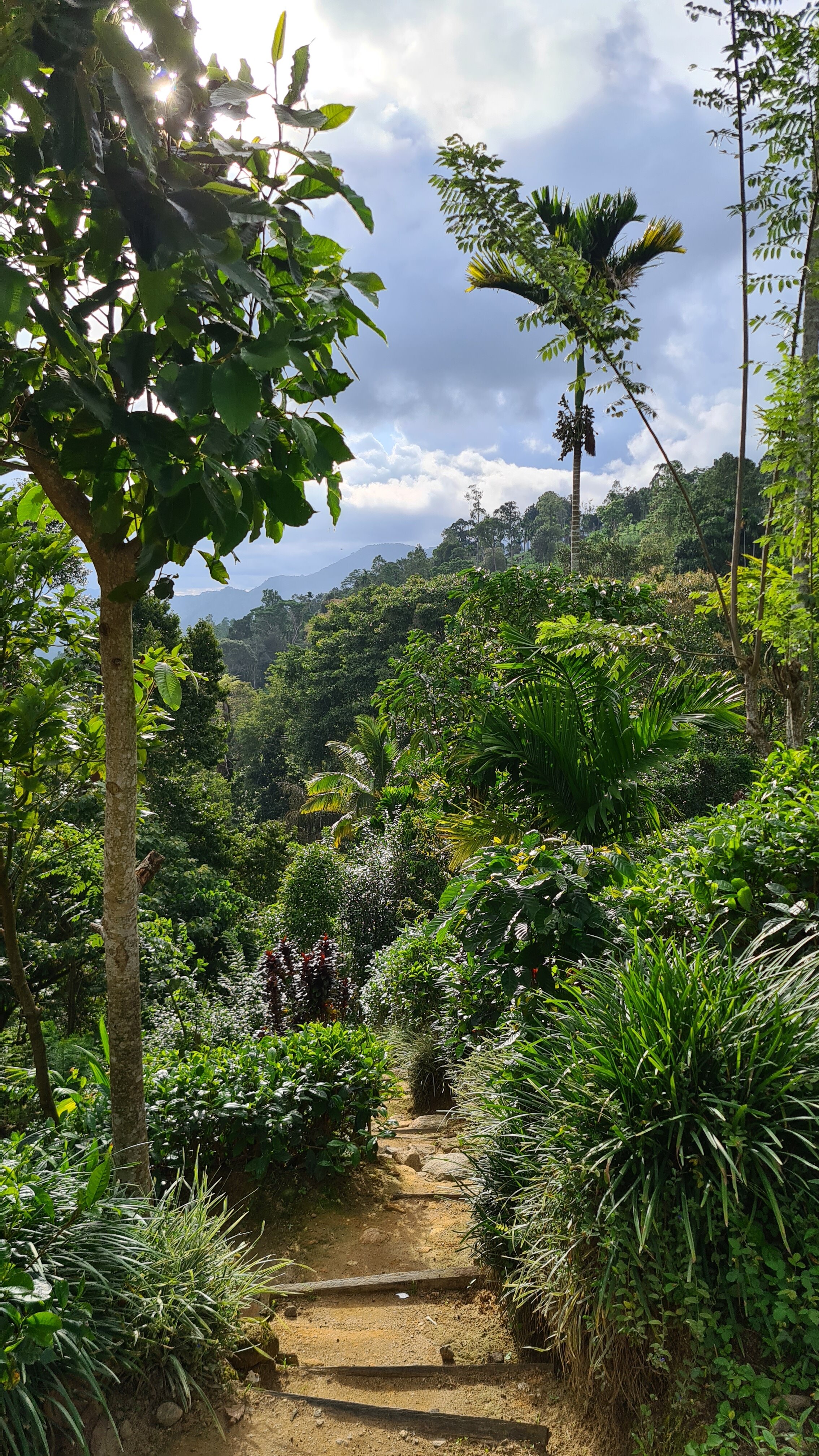 Sinharaja Kurulu Ella Eco Resort-浴室