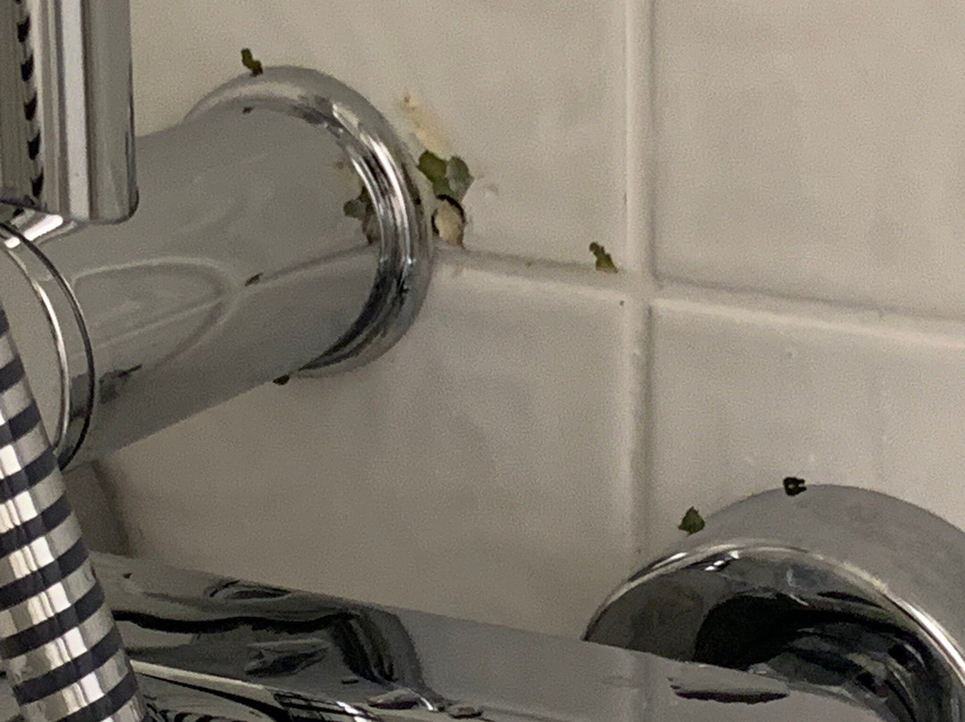 伍尔夫酒店主图