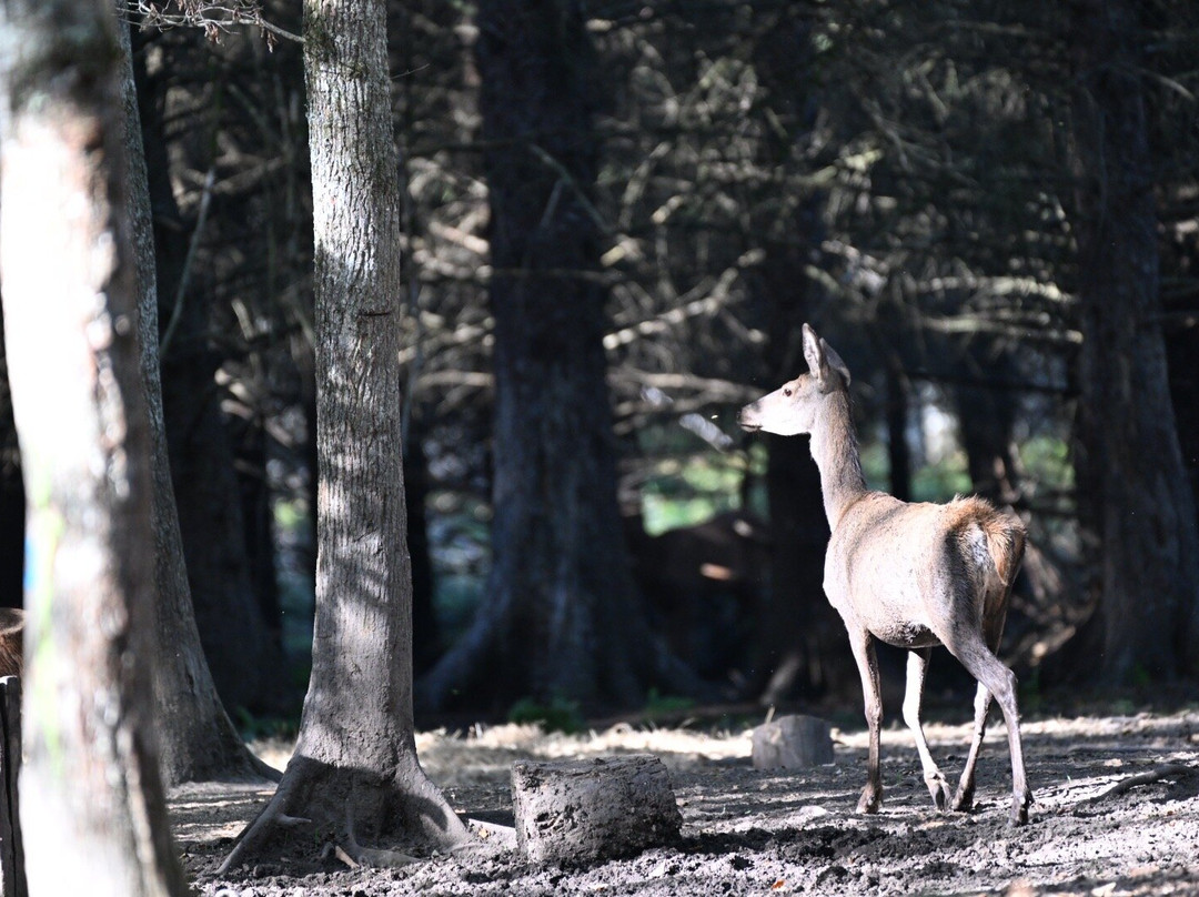 Parc Naturel de Boutissaint景点图片