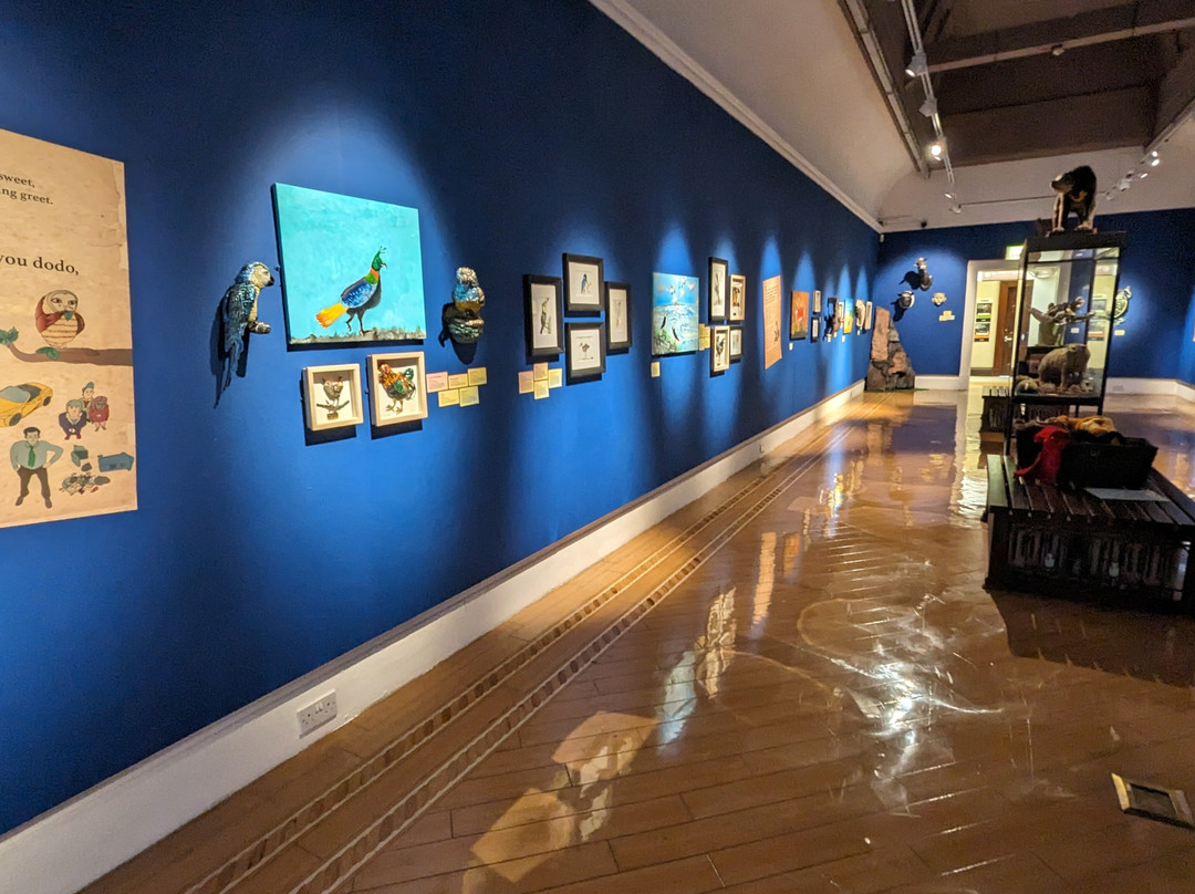 Warrington Museum & Art Gallery-沃灵顿必去景点