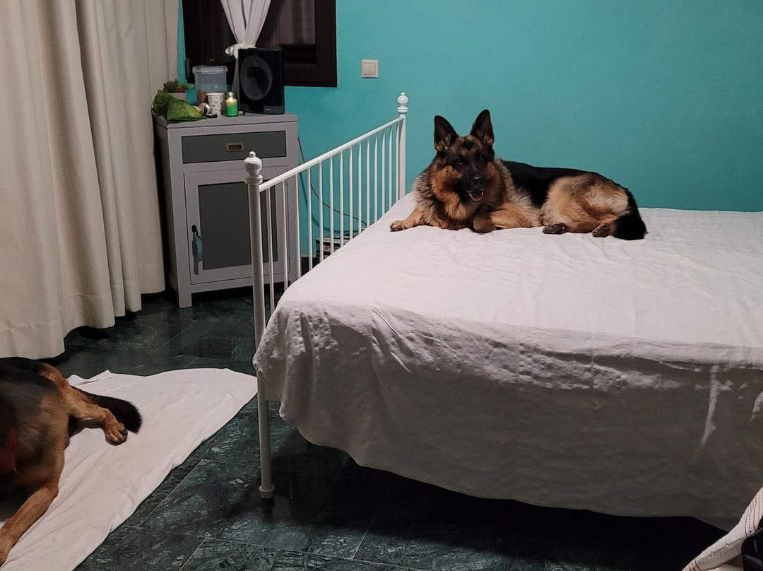 Casa Rural Toledo Finca Los Pajaros主图