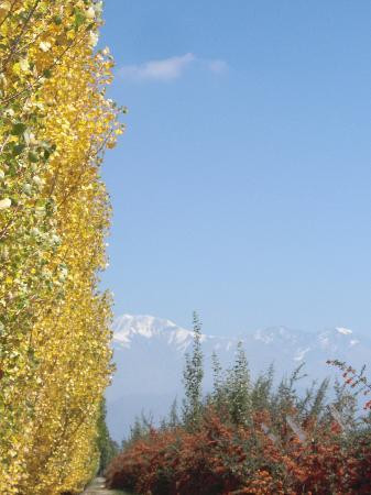 Uncorking Argentina-门多萨必去景点