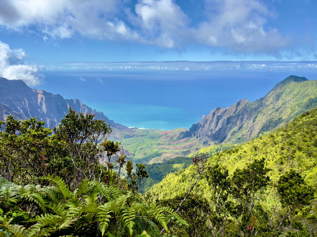 Pihea Trail-科卡哈必去景点