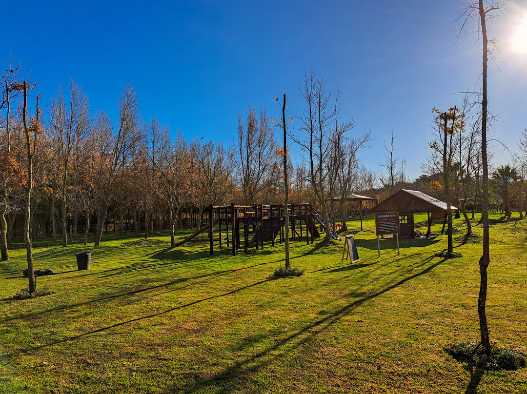 Winelands Light Railway-斯泰伦博斯必去景点