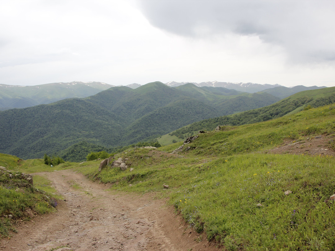 Dilijan National Park景点图片