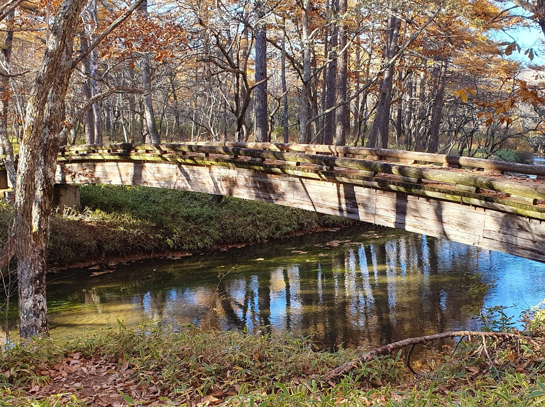 Senjogahara Field-日光市必去景点
