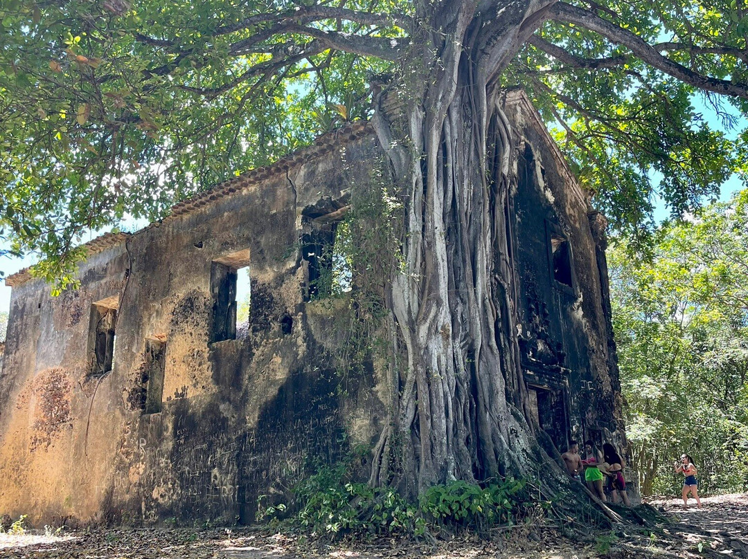 Ruinas da Igreja de Bom Sucesso