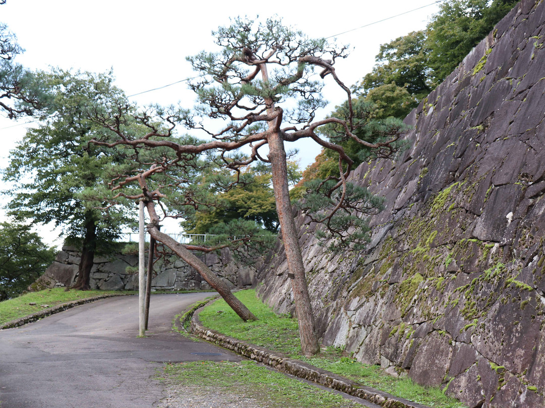 Morioka Castle Ruins-盛冈市必去景点