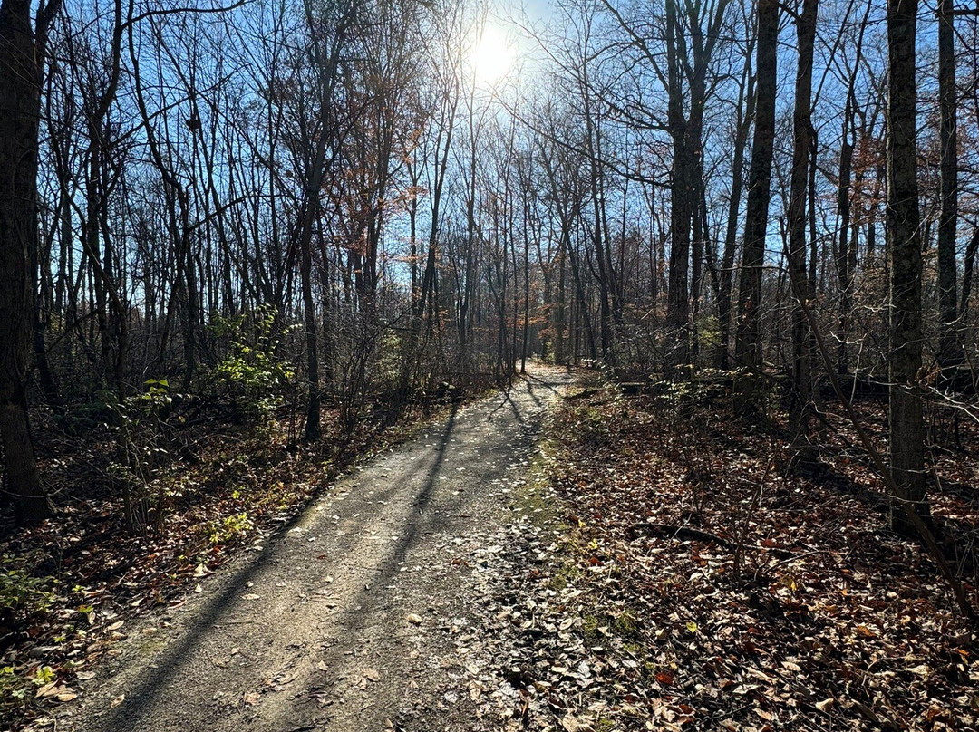 Blacklick Woods Metro Park-Reynoldsburg必去景点